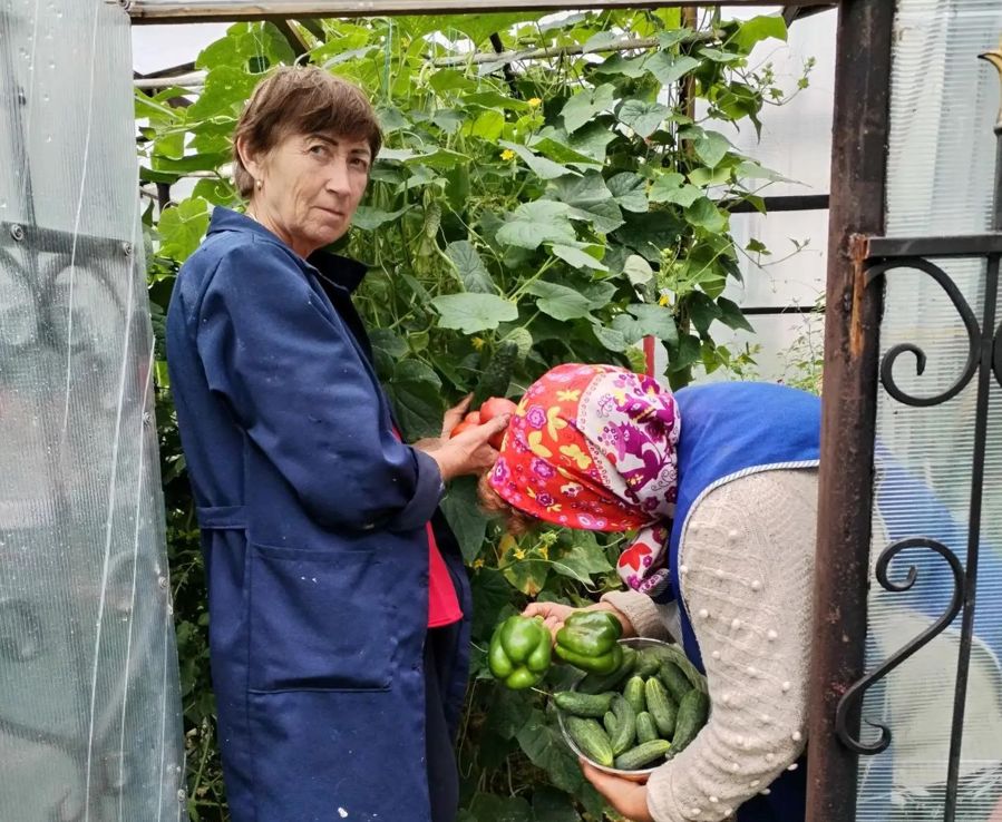 Больше чем уборка и магазин: социальный работник Таисия Иванова помогла подопечной собрать урожай