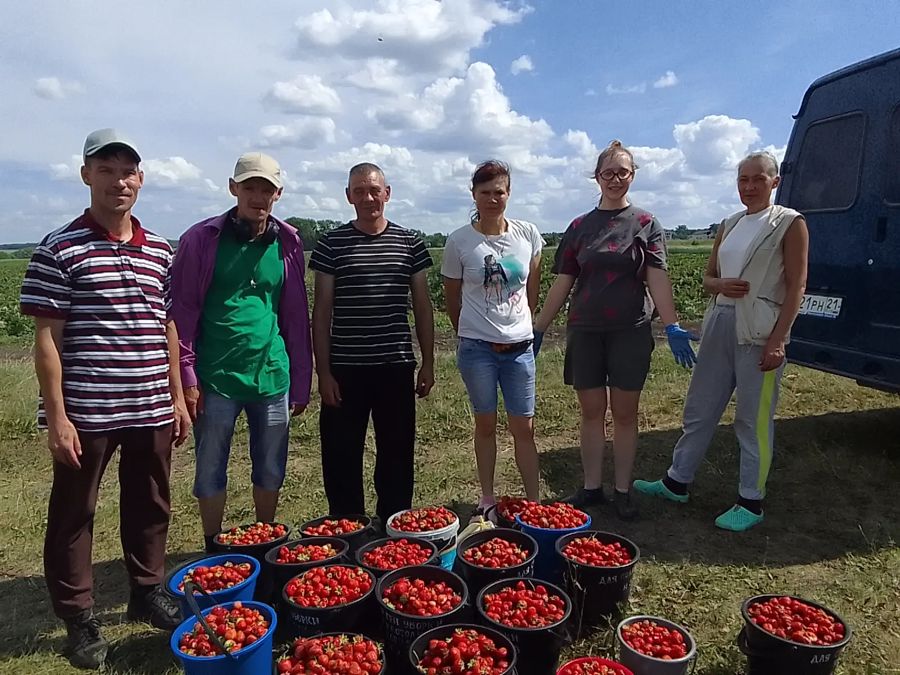 Выезд на клубничные поля