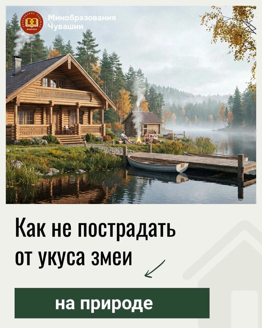 С приходом тёплой погоды активизировались змеи — и встречи с ними на прогулке, в лесу или на даче стали вероятнее