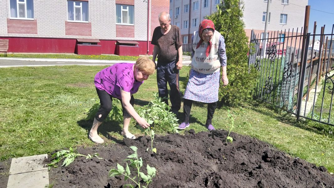 Тепло наших рук: как подопечные центра вырастят собственный урожай