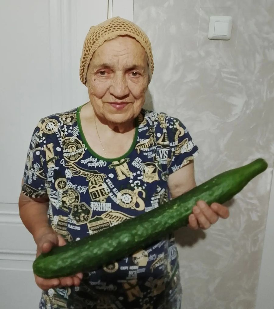 Дачница Любовь Иванова вырастила огурец весом 1,5 кг
