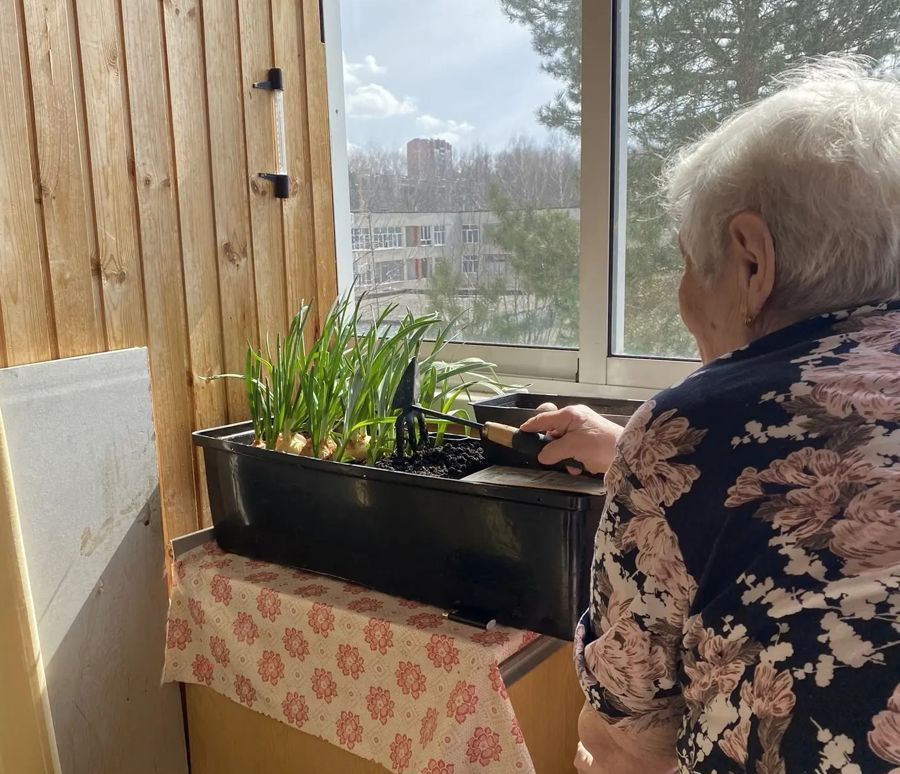 Огород на балконе