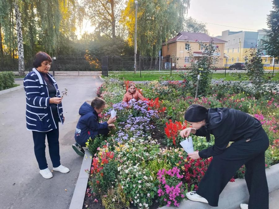 Освоение навыков заготовки посевного материала