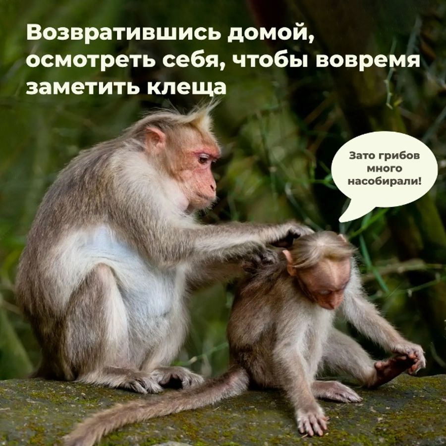 Лето — время гулять, а не лечиться!