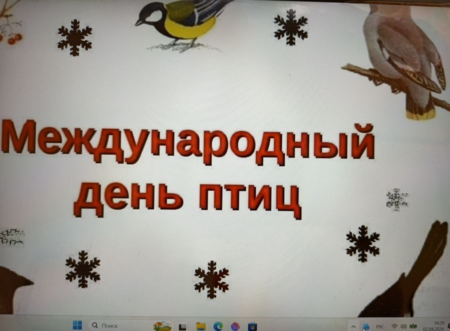 Международный День птиц