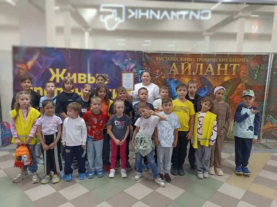 Выставка живых бабочек: чудо природы в жизни детей
