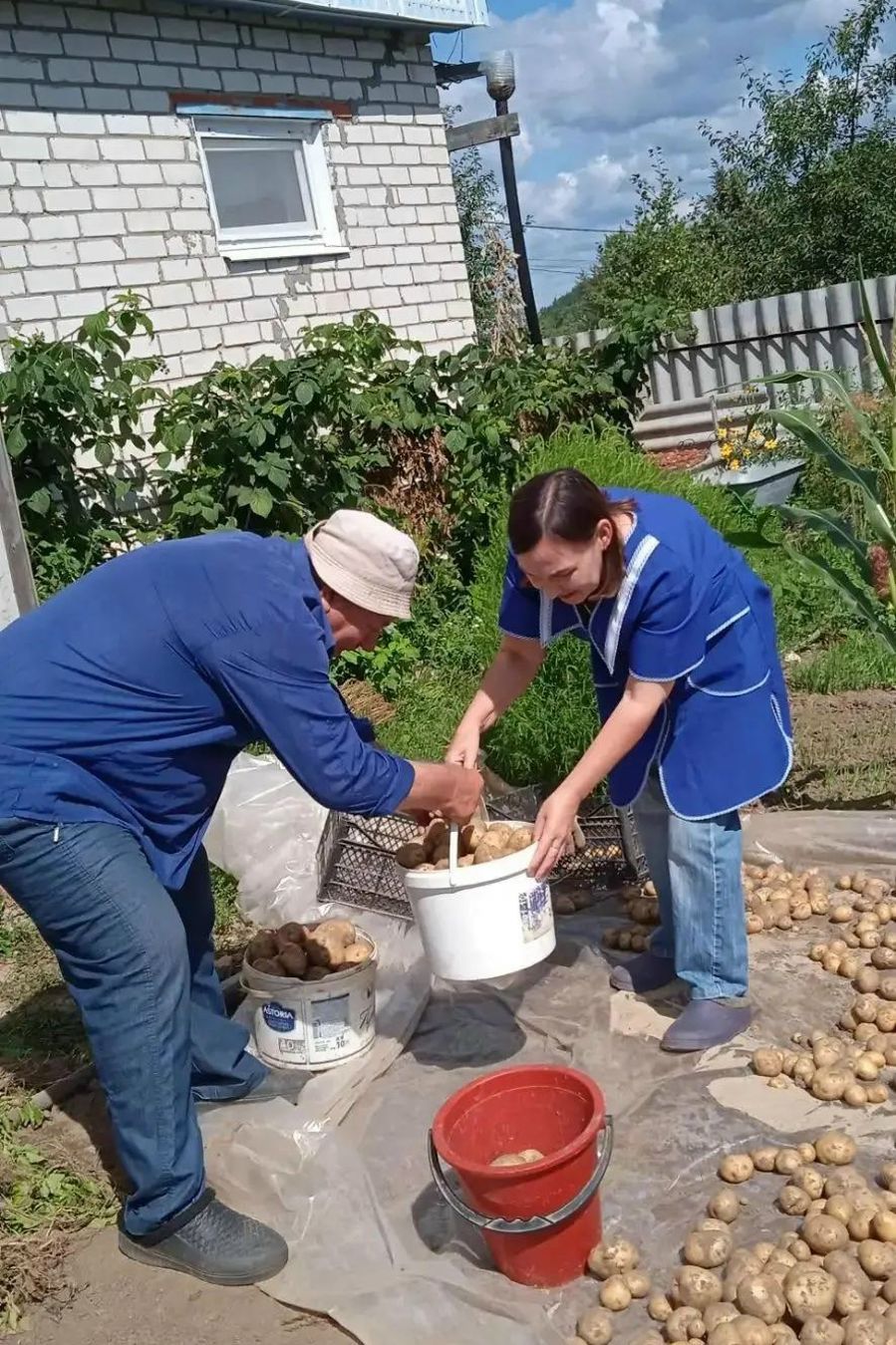 Забота в действии: как соцработники Козловского муниципального округа помогают пожилым людям с уборкой урожая.